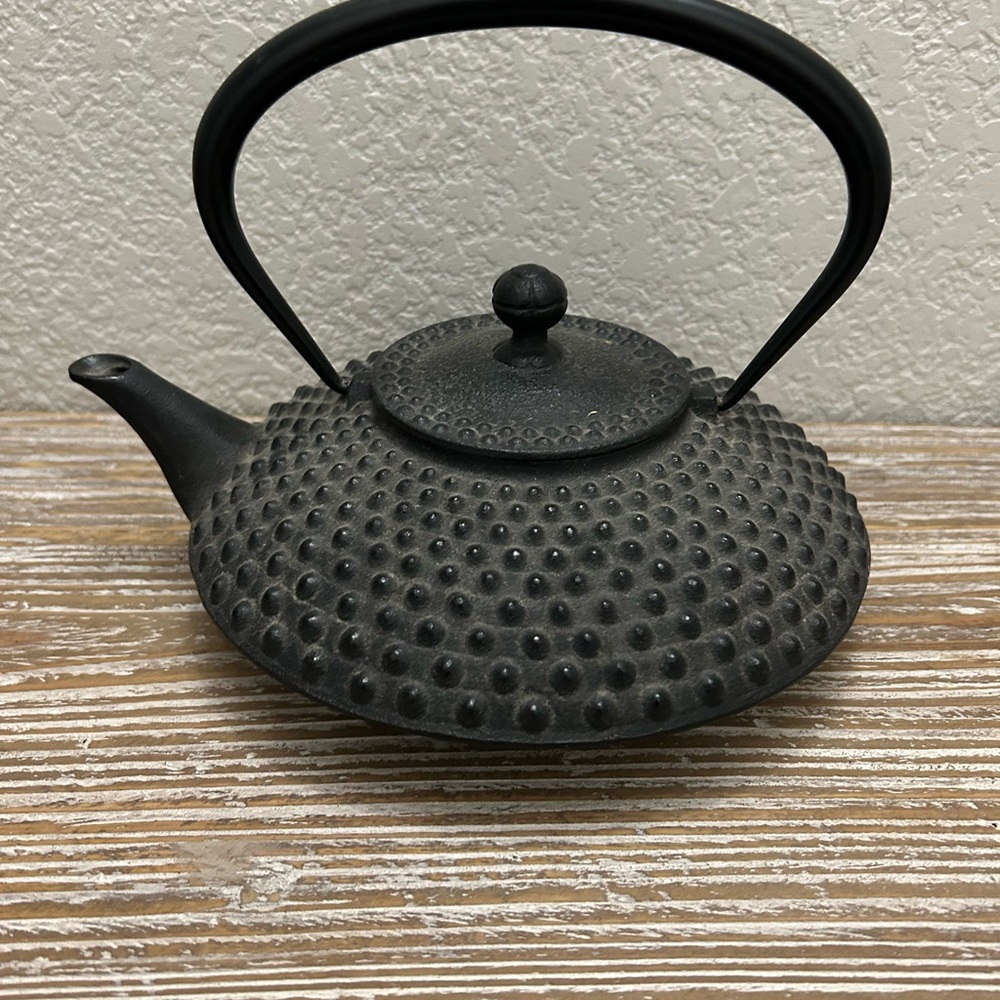 Japanese Hailstone Cast Iron teapot